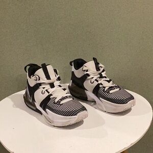 Nike Lebron Witness VII
